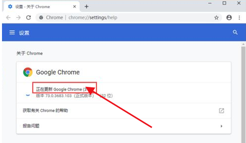 设置Google Chrome浏览器自动更新步骤分享16