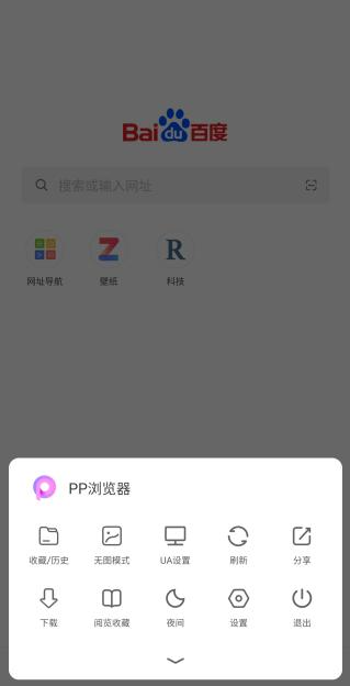 pp浏览器3