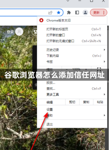 谷歌浏览器怎么添加信任网址
